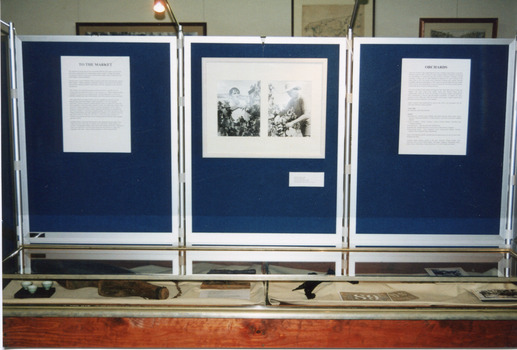 Colour photograph of three display board sections showing information and photos for 'The Harvest' exhibition at  the Burke  Museum in 1999.