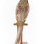 Male Common Pheasant standing on a mounted wooden perch, facing forward