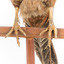 Male Common Pheasant standing on a mounted wooden perch, facing forward