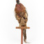 Male Common Pheasant standing on a mounted wooden perch, facing forward