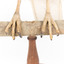 White Goshawk standing on a perch mounted on wood