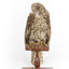 Powerful Owl standing on wooden mount facing forward