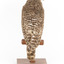 Powerful Owl standing on wooden mount -back view