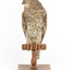 Powerful Owl standing on wooden mount facing forward