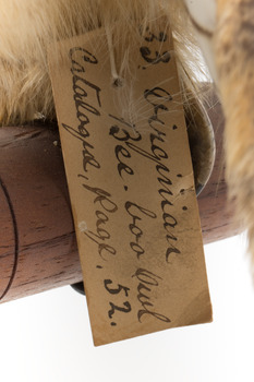Image of swing-tag, see transcription