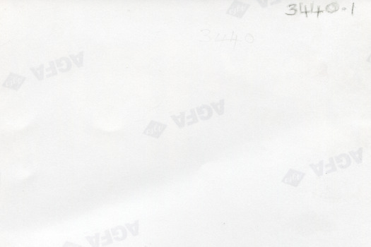 The blank reverse of a photograph with the AGFA logo printed across at regular intervals. The photo's identification number is handwritten in the top right corner.