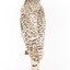 Snowy Owl standing on wooden mount facing forward