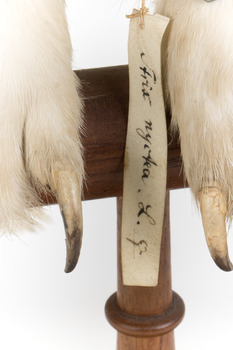 Image of swing-tag, see transcription