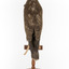 Common Buzzard standing on wooden mount facing forward