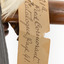 Little Pied Cormorant taxidermy specimen standing on a wooden mount facing towards the left