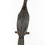 A taxidermy Little Black Cormorant standing on a wooden mount and looking right 