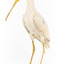 Yellow Billed Spoonbill standing on a wooden platform facing right