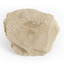 A pale brown/creamy brown coloured rock that is roughly the size of a hand. Sandstone is a sedimentary rock 