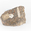 A solid, dark grey mineral specimen with pale terracotta coloured inclusions