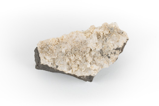 A hand sized geological specimen in shades of grey and white