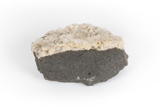 A hand sized geological specimen in shades of grey and white