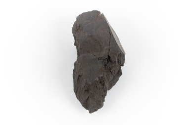 A hand-sized sedimentary rock specimen of dark brown. 