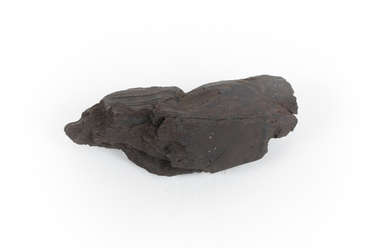 A hand-sized sedimentary rock specimen of dark brown. 