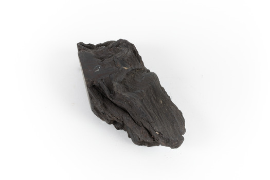 A hand-sized sedimentary rock specimen of dark brown. 