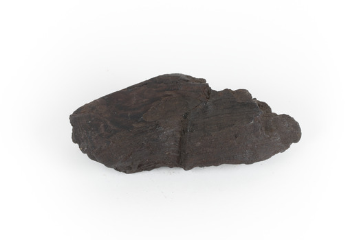 A hand-sized sedimentary rock specimen of dark brown. 