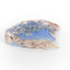 A mineraloid specimen which has a light blue "play-of-colour" in the centre 