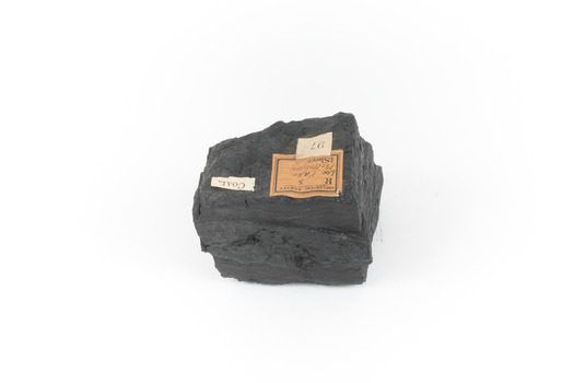 Piece of black coal with label