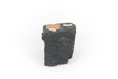 Piece of black coal with label