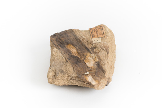 A hand-sized solid mineral specimen in shades of yellow and brown