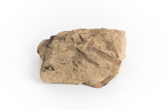 A hand-sized solid mineral specimen in shades of yellow and brown