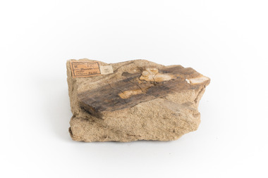 A hand-sized solid mineral specimen in shades of yellow and brown