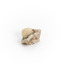 Uniquely shaped small piece of Chaledony