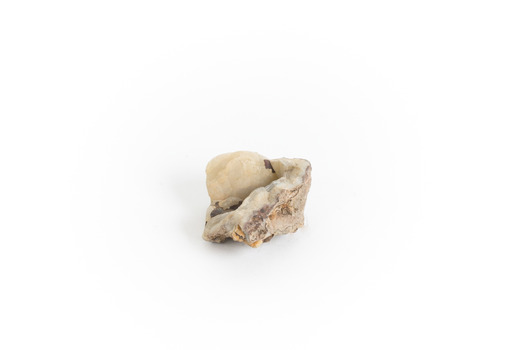 Uniquely shaped small piece of Chaledony