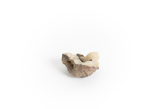 Uniquely shaped small piece of Chaledony