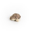 Uniquely shaped small piece of Chaledony