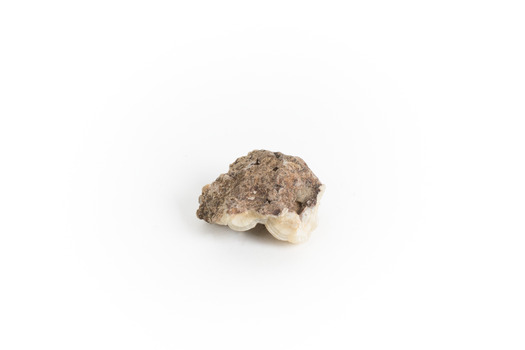 Uniquely shaped small piece of Chaledony