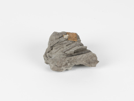 A hand-sized solid mineral specimen in shades of grey and brown