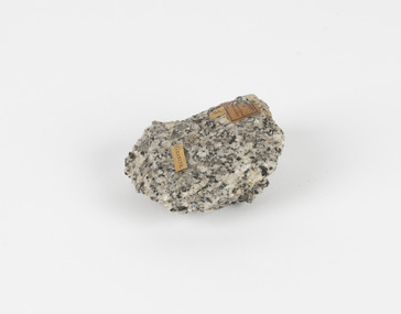 A palm-sized granular quartzose igneous rock in grayish-white tones.
