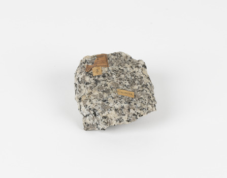 A palm-sized granular quartzose igneous rock in grayish-white tones.