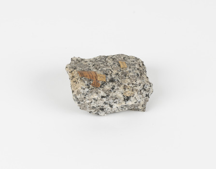 A palm-sized granular quartzose igneous rock in grayish-white tones.