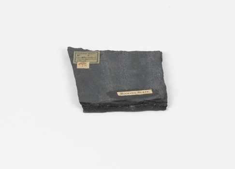 A rectangular metamorphic specimen, dark grey almost black in colour