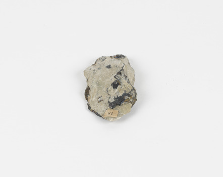 A palm-sized copper iron sulfide mineral specimen in grey tone, with irregular blue and yellowish areas.