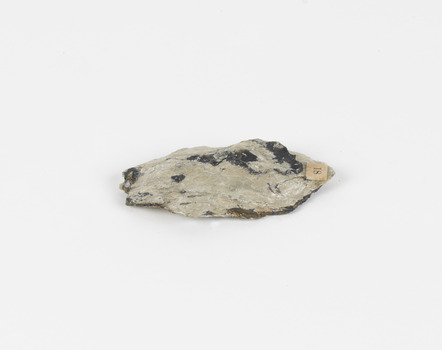 A palm-sized copper iron sulfide mineral specimen in grey tone, with irregular blue and yellowish areas.