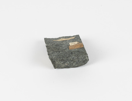 A palm-size compact metamorphic rock in shades of dark green and grey.