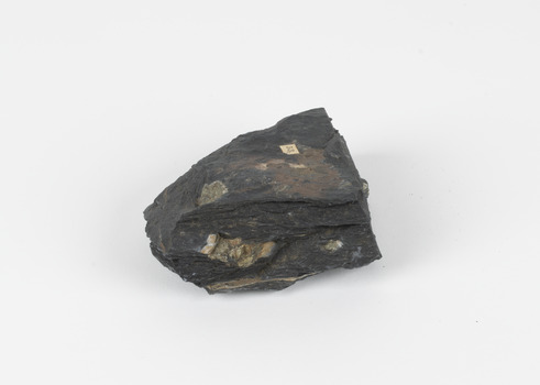 A dark coloured geological specimen with some brown and blue colouration. The shape is roughly triangular, featuring some straight edges and overall geometric shape. The number 53 is adhered to the top surface, a reference to the original catalogue