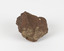 A cut rock with some natural curves of a brown hue. The rock is very porous and shows layers. An existing label depicts the number 42.