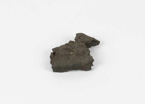 A flat, irregular shaped dark grey brown geological specimen.