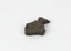 A flat, irregular shaped dark grey brown geological specimen.