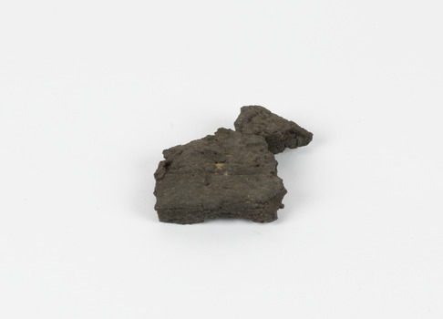 A flat, irregular shaped dark grey brown geological specimen.