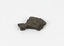 A flat, irregular shaped dark grey brown geological specimen.