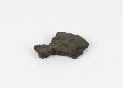 A flat, irregular shaped dark grey brown geological specimen.